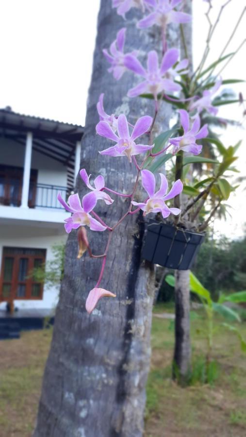 Mellow Villa Tangalle Exteriér fotografie